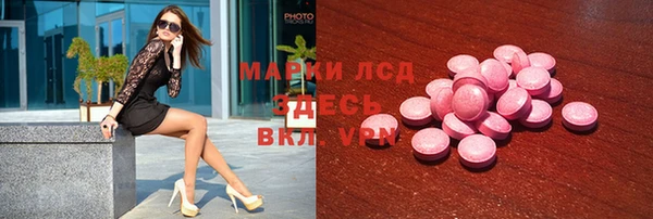 apvp Алзамай