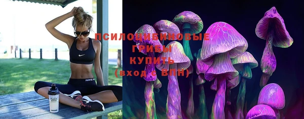 apvp Алзамай