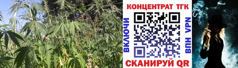 Дистиллят ТГК Wax  Кашин 