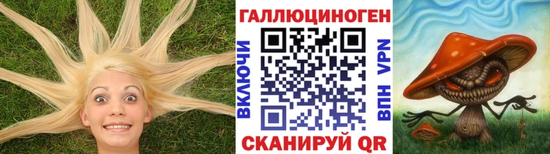Псилоцибиновые грибы Psilocybine cubensis  Кашин 